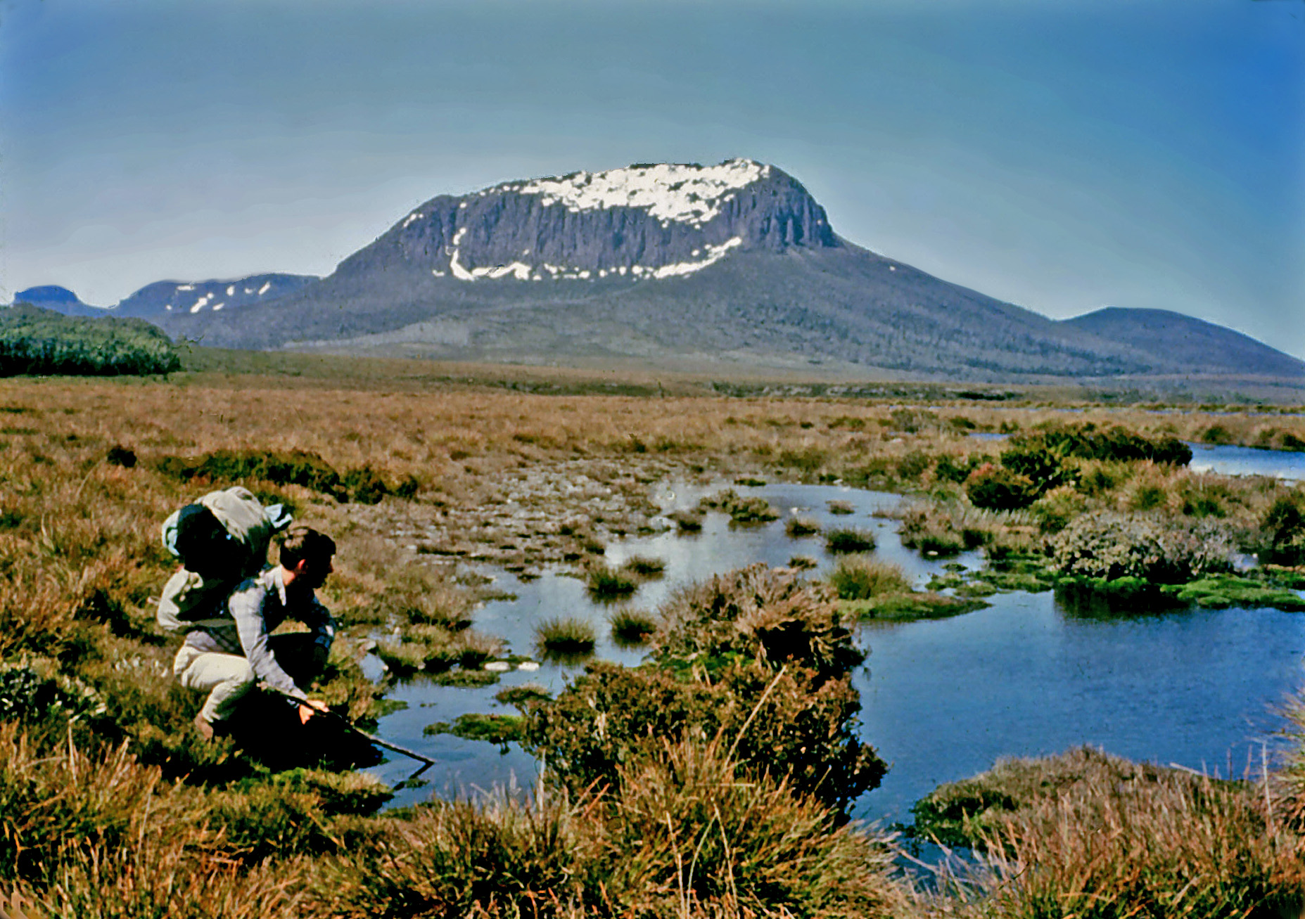 How Tasmania's public image archives ended up full of duplicates, and what it cost to fix it