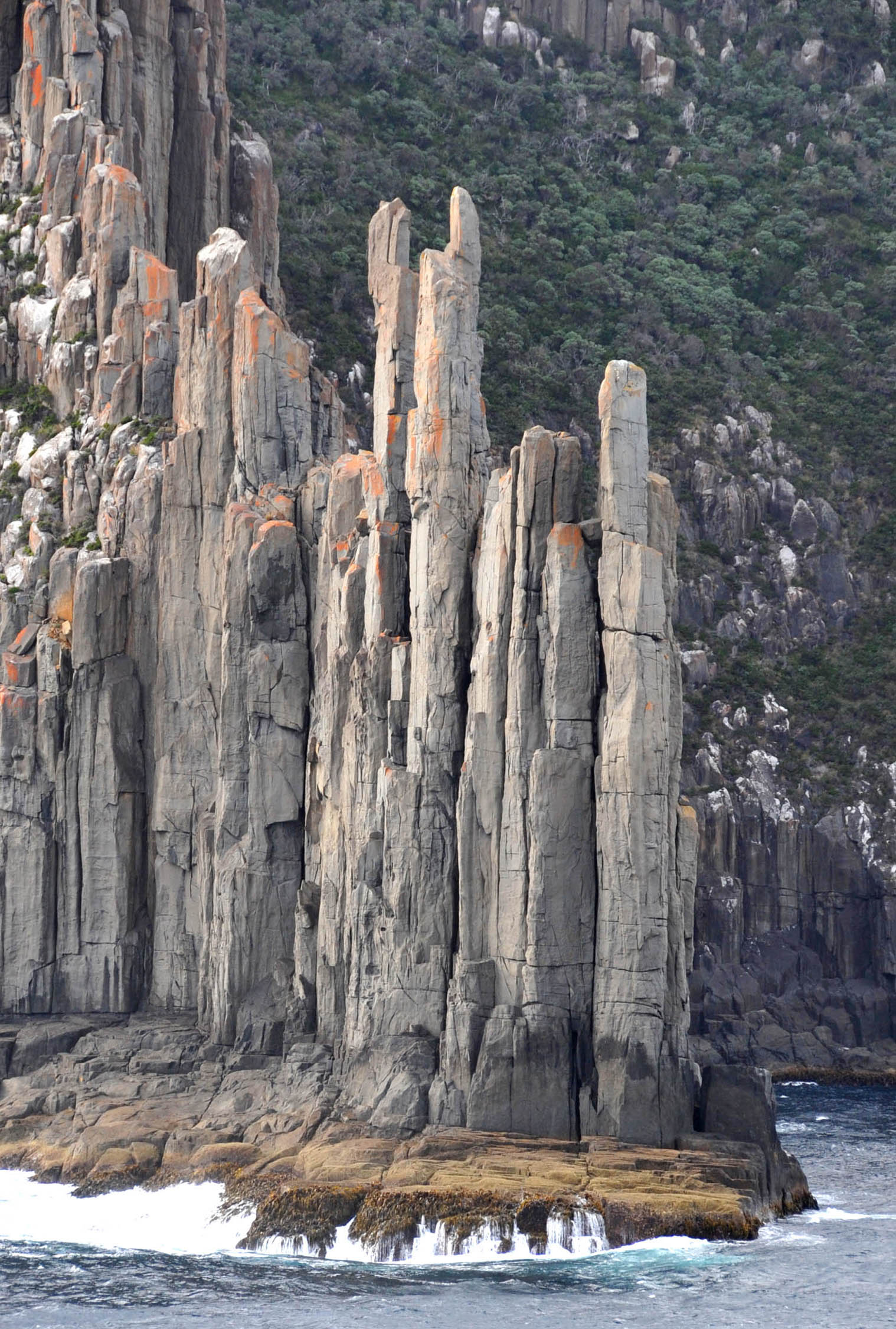 Beyond kunanyi: The Hidden Nature Walks Locals Love But Tourists Miss