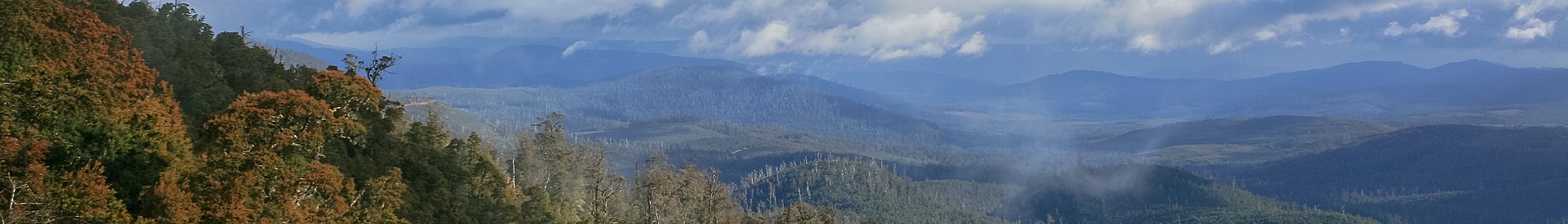Tasmania's Science-Backed Wellness Habits: Local Tips for Thriving in 2026