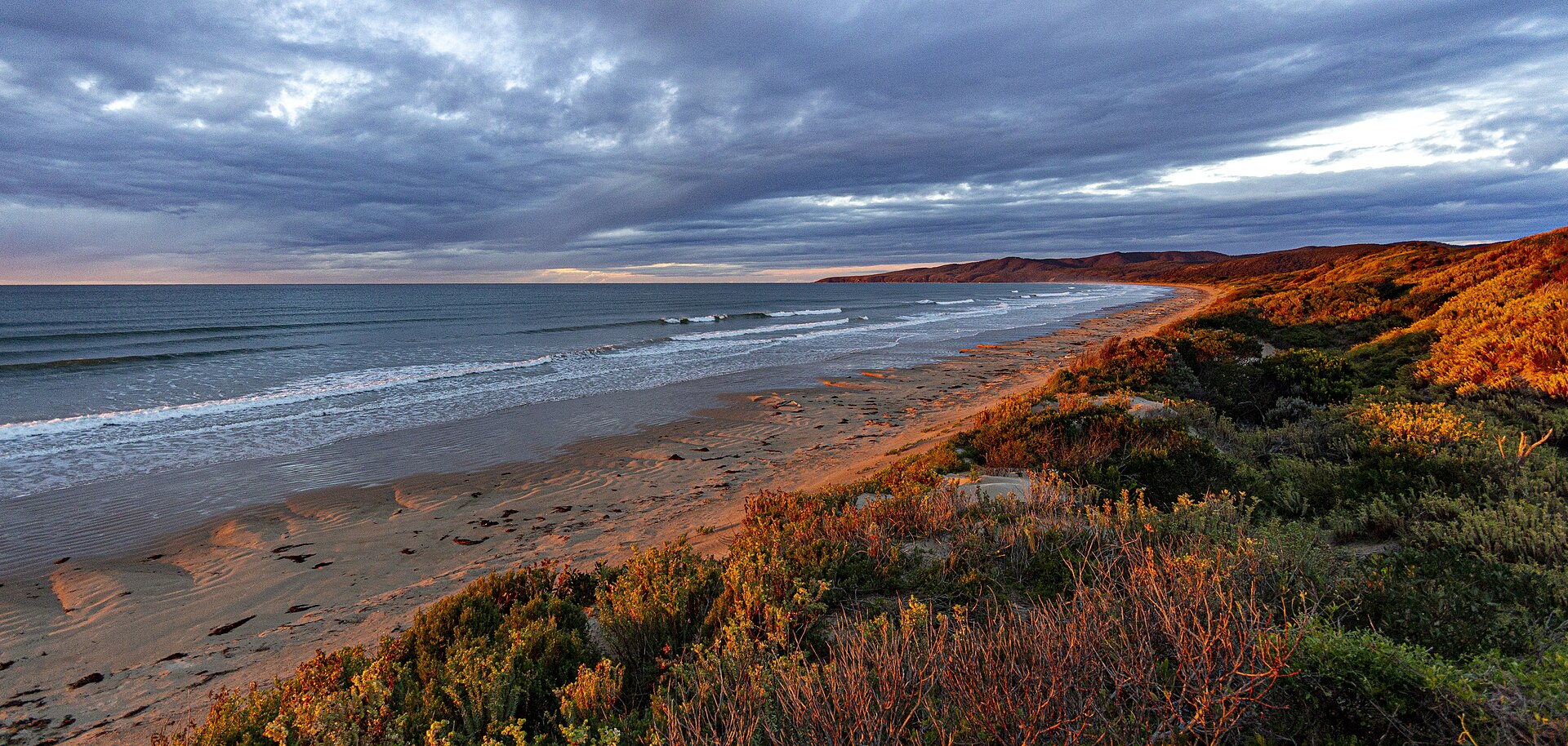 Tasmania's Renewable Boom Risks Repeating Past Environmental Mistakes, Leaders Warn