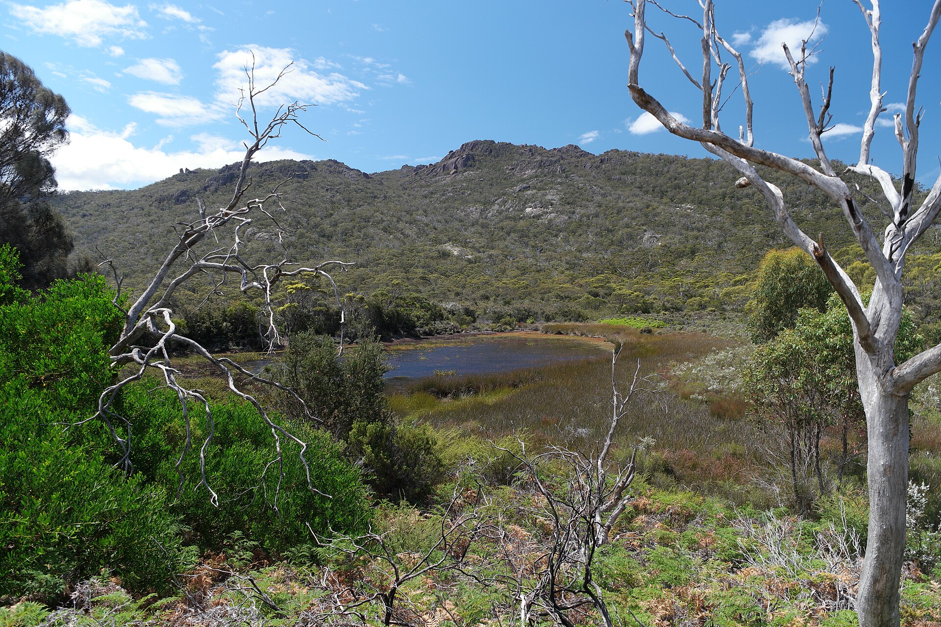 Tasmania Tech Startups: How VC Funding Is Reshaping Hobart
