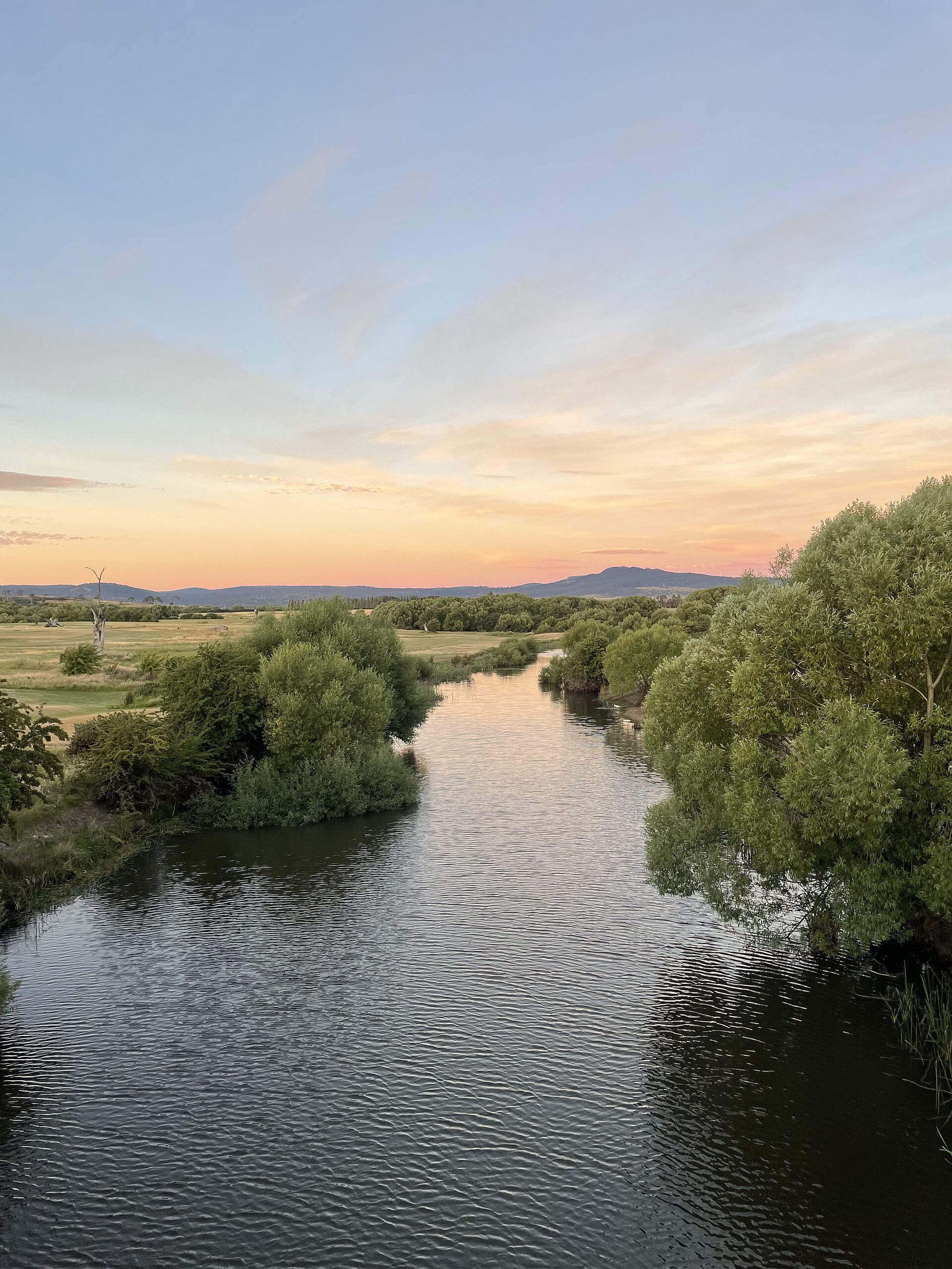 Tasmania Schools and Education Guide: Public, Private, and University