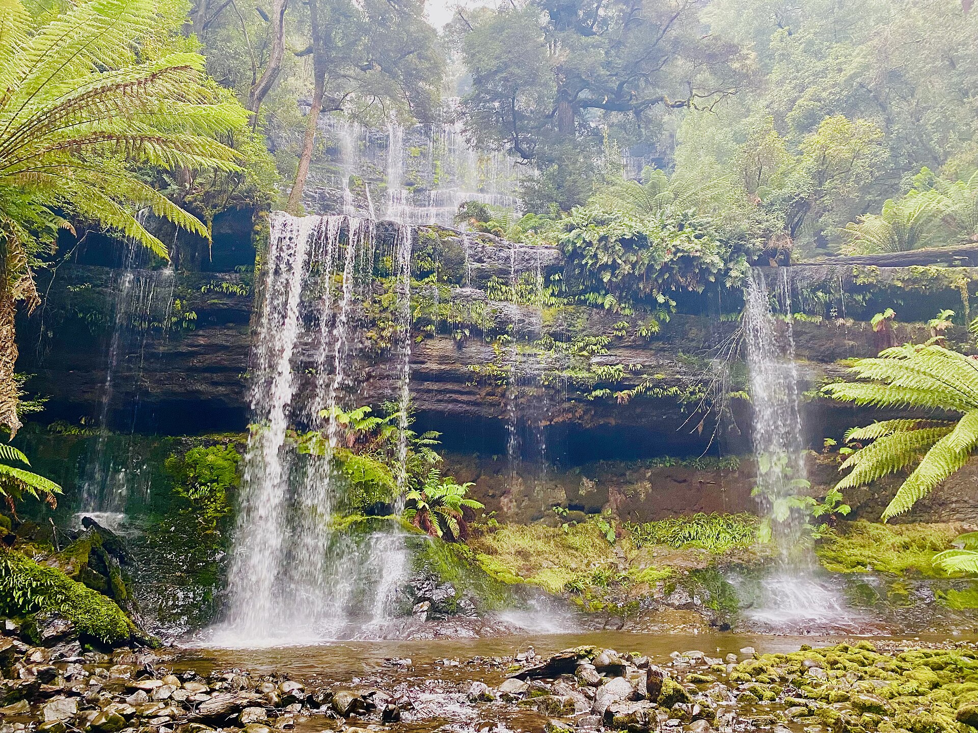 The Hidden Nature Walks Locals Love but Tourists Miss