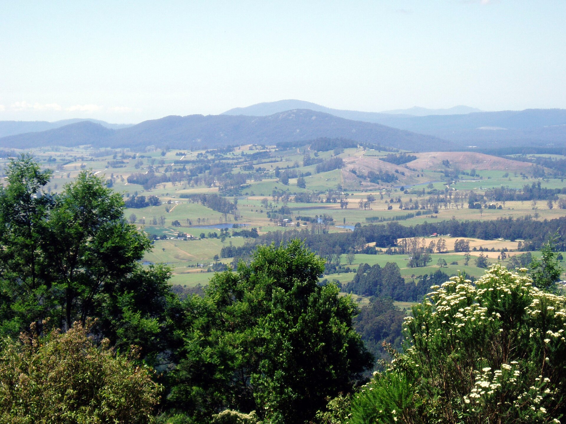 Tasmania's Duplicate Image Archive Cost Thousands to Finally Fix