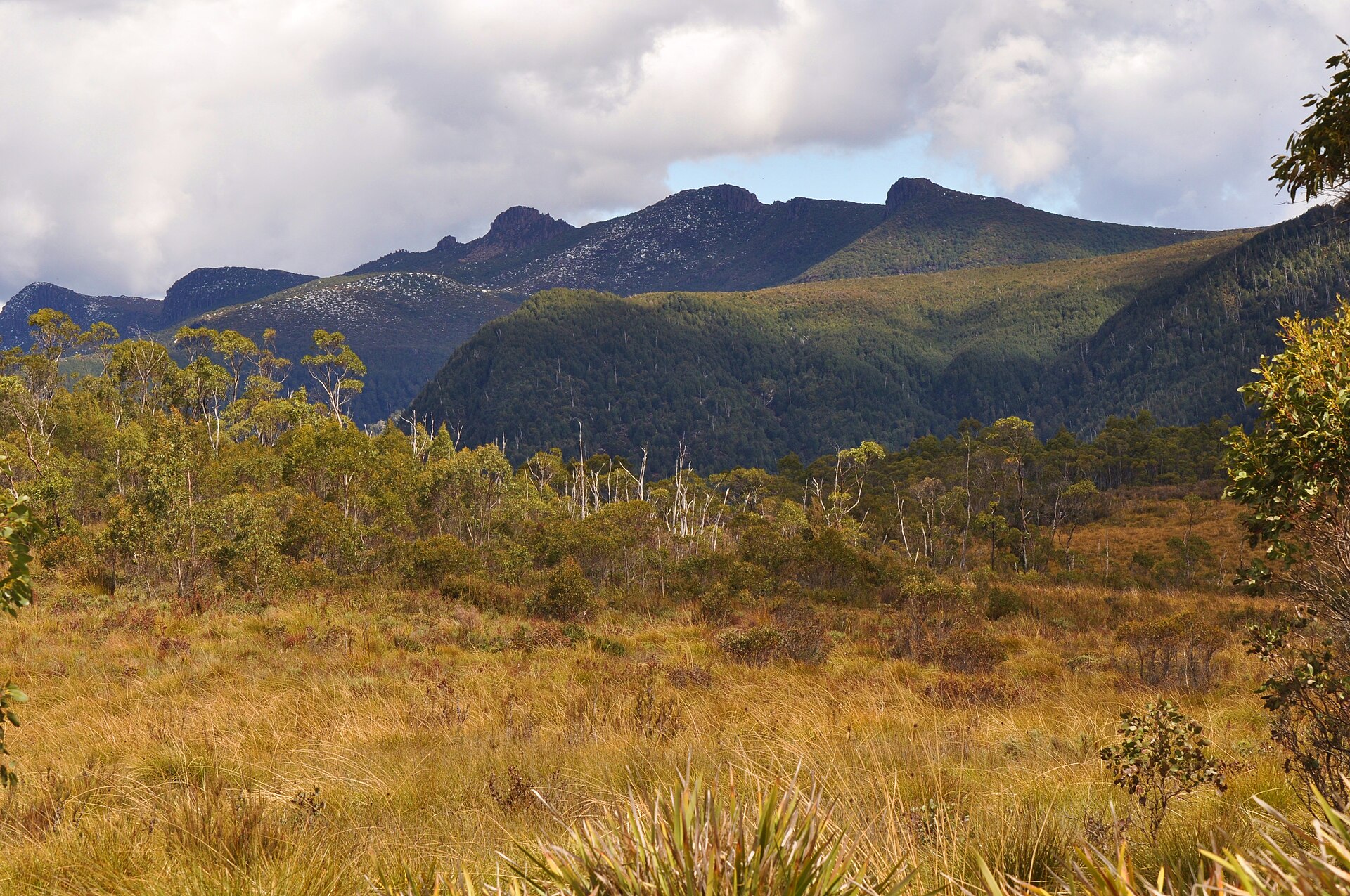 Tasmania's Tech Boom: Clean Energy and AgTech Lead