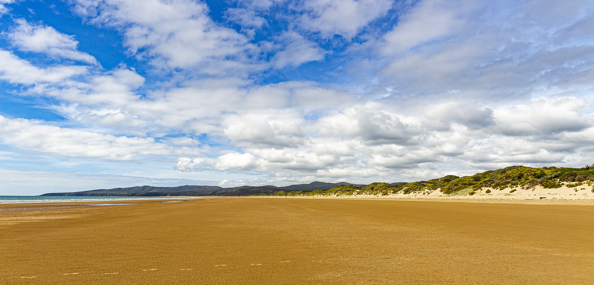 Tasmania's AI Leaders Build Competitive Edge Through Collaboration and Environmental Focus