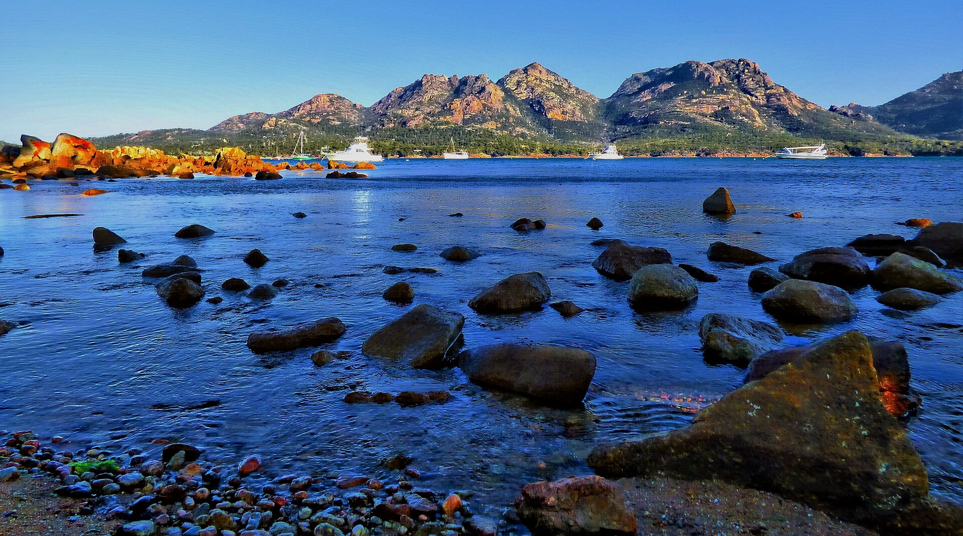 Tasmania's Fintech Sector Attracts Global Innovators Despite Remote Location