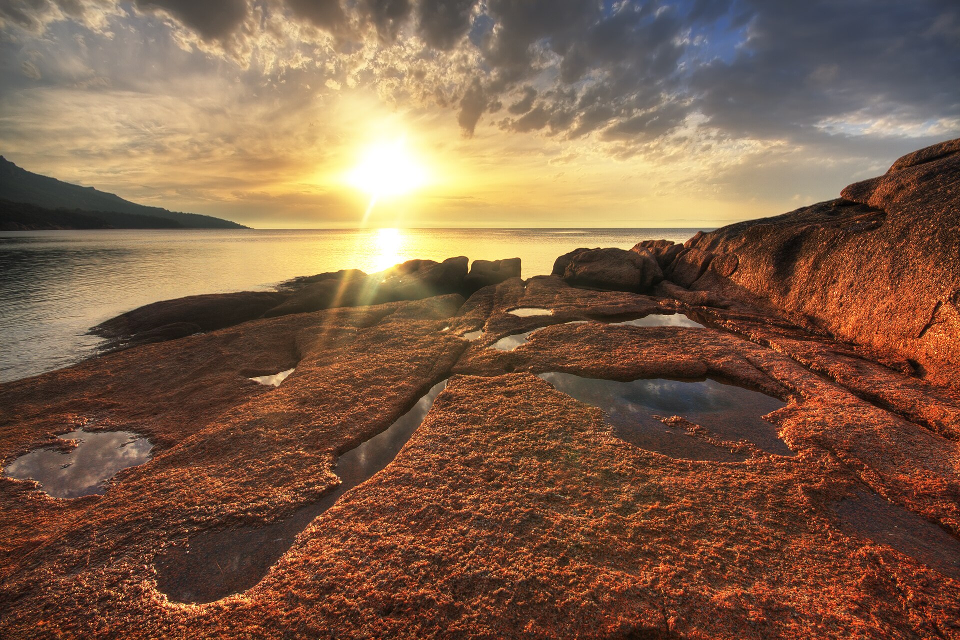 Tasmania's Digital Transformation Raises Privacy and Equity Concerns Among Experts