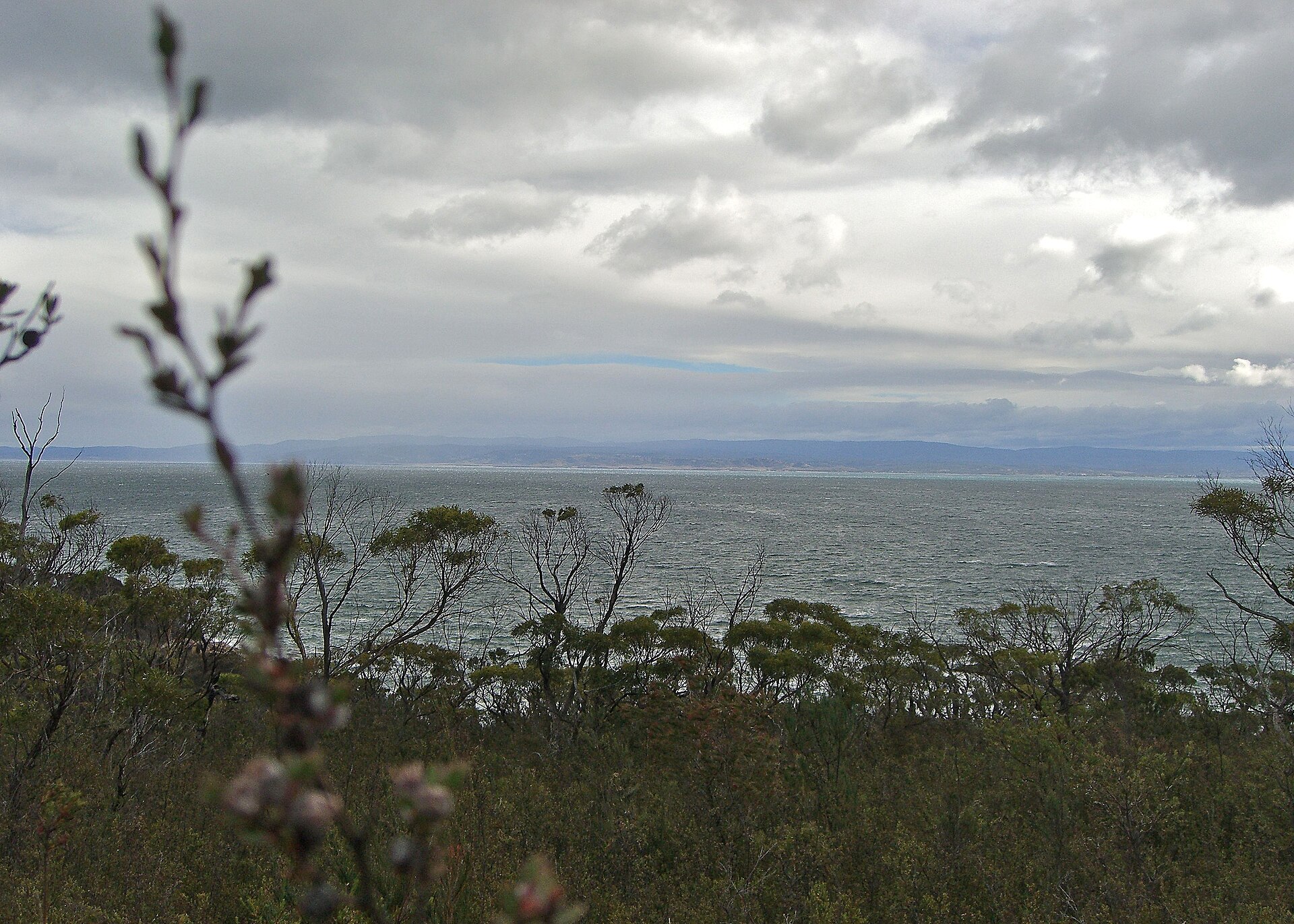 Tasmania's AI boom reshapes global innovation landscape