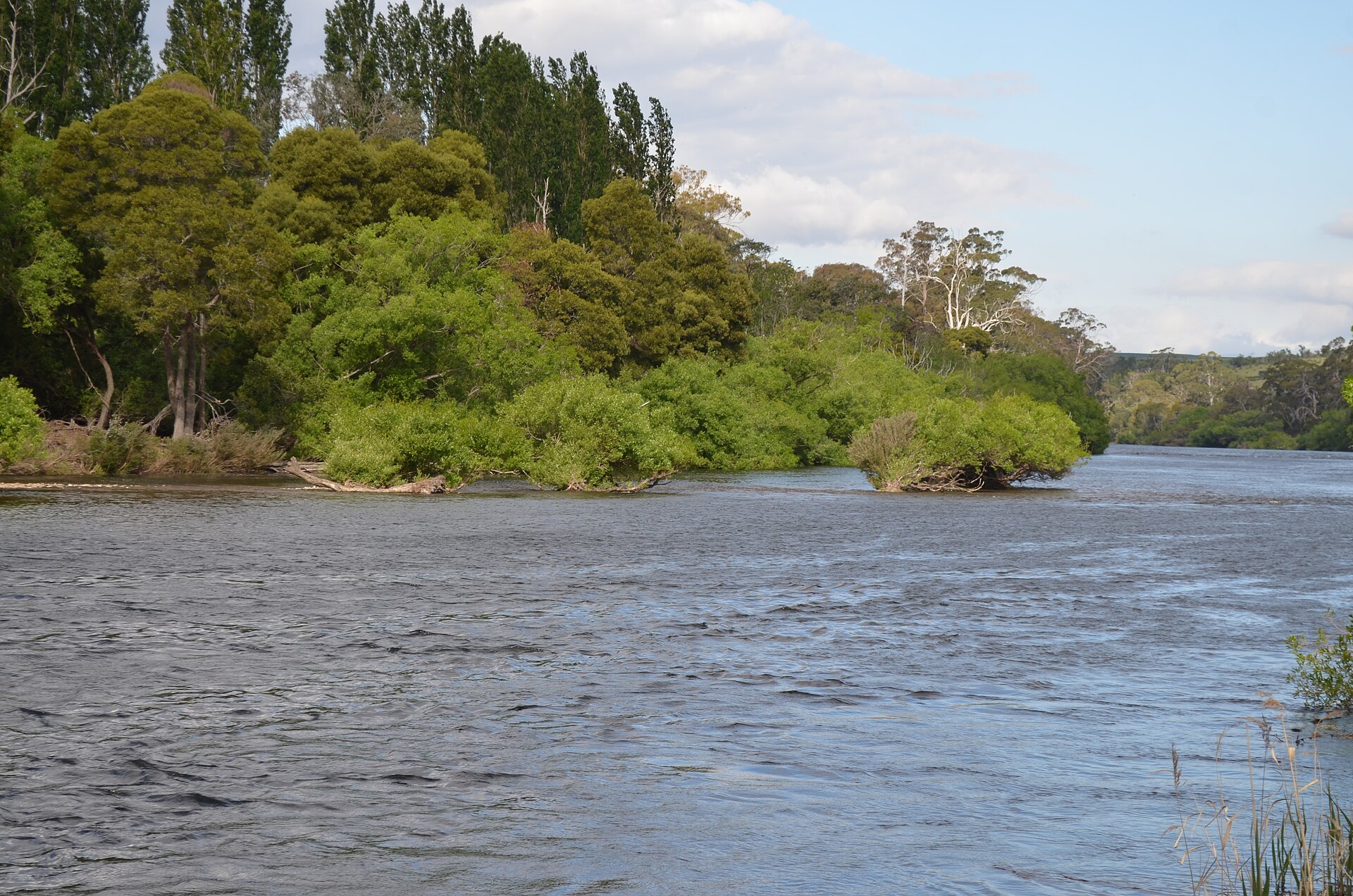 Top Walking Trails in Tasmania: Routes Rated by Distance and Difficulty