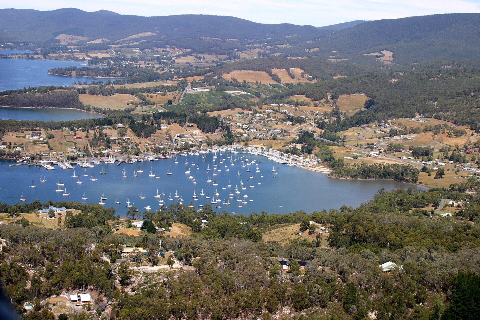 Tasmanians Feel Excluded From Major Decisions On Stadium, Link, Salmon Rules
