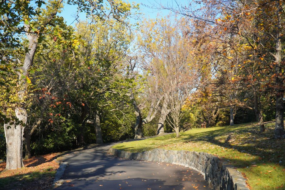 Driveway Paving Cost Tasmania 2026, Complete Guide to Tasmania Driveway Prices for Concrete, Pavers, Frost Sub-Base and Hobart Driveway Guide