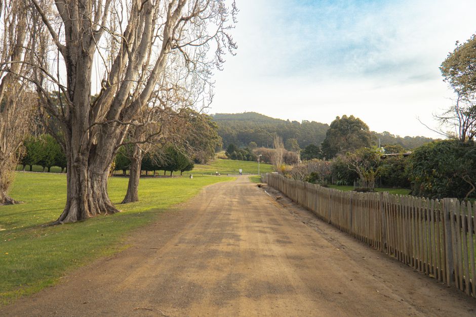 Tasmania Electricity Tariff Stabilisation Bill 2026 Aims to Cap Household Power Costs