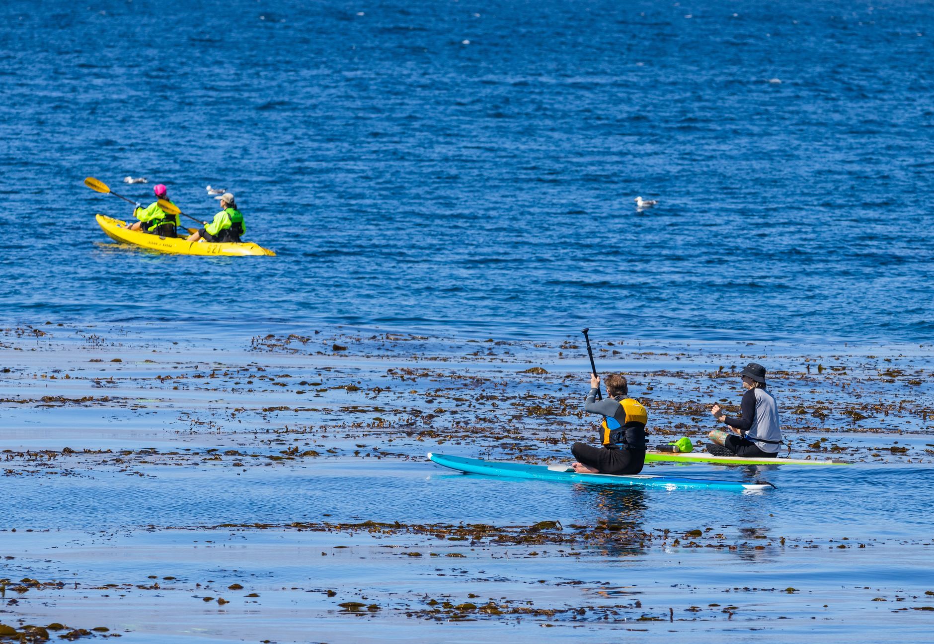 Financial Planners in Tasmania 2026, What They Charge, What They Do, and How to Find a Licensed Financial Adviser Near You