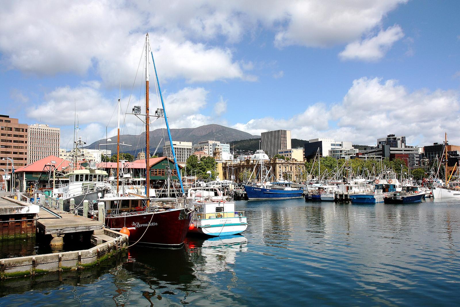 Grassroots Groups Reshape Tasmania's Arts Scene Through Community Networks