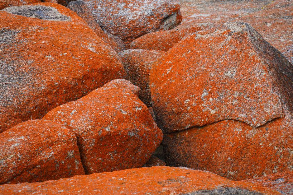 Tasmania's East Coast Reveals Pink Granite and Turquoise Waters