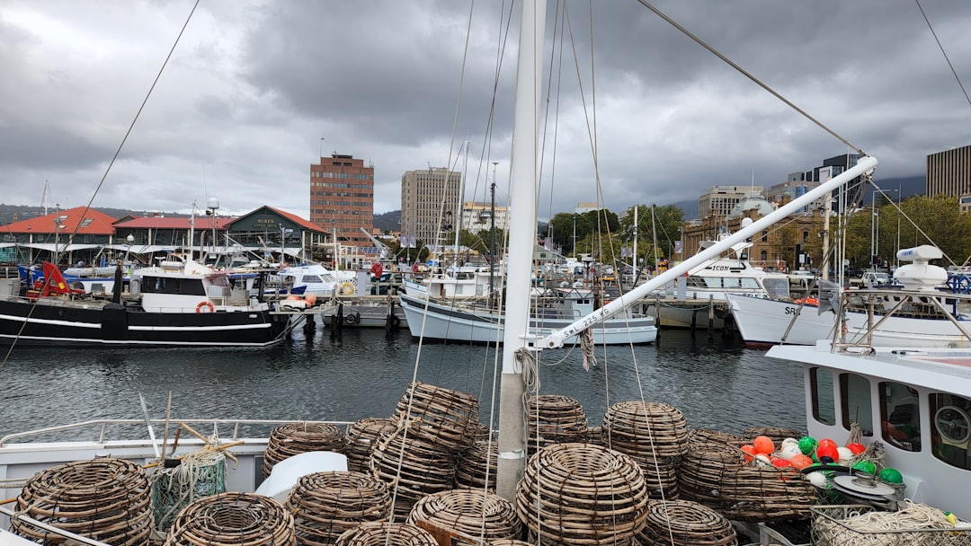 Tasmania's fintech boom masks troubling risks: innovation's darker side demands urgent scrutiny