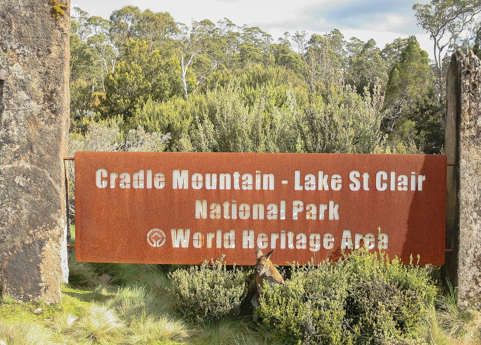 The Small Habits Making a Big Difference for Tasmanian Wellbeing
