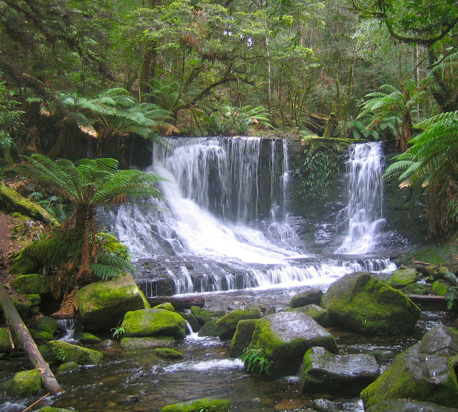 Tasmania's Tech Leaders Merge Environmental Data Tools With Industry