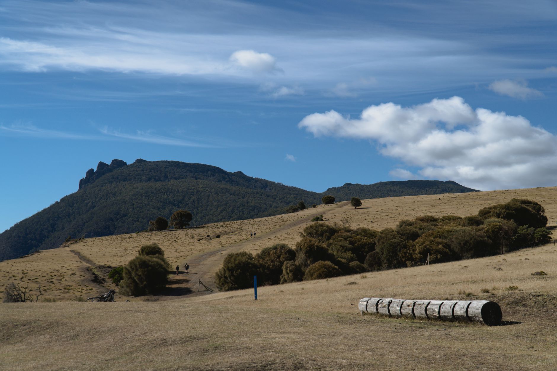 Tasmanians flock to free parks as housing costs soar across Hobart
