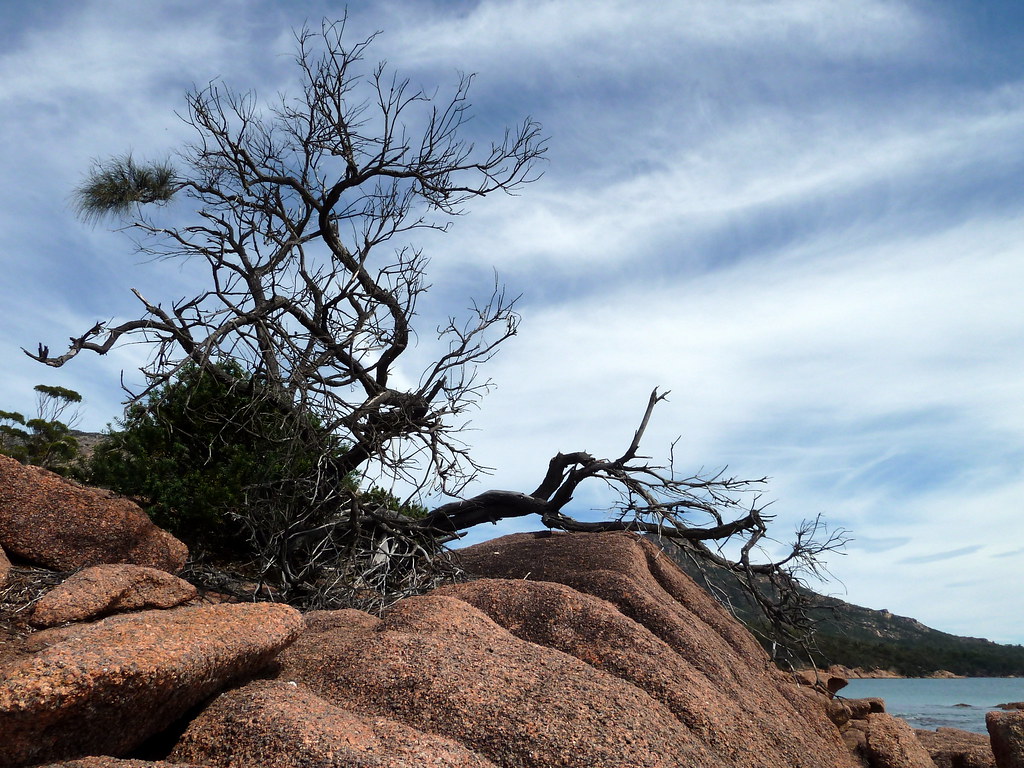 What's on in Tasmania: PPWR, Wednesday 8 July, what to expect and how to go