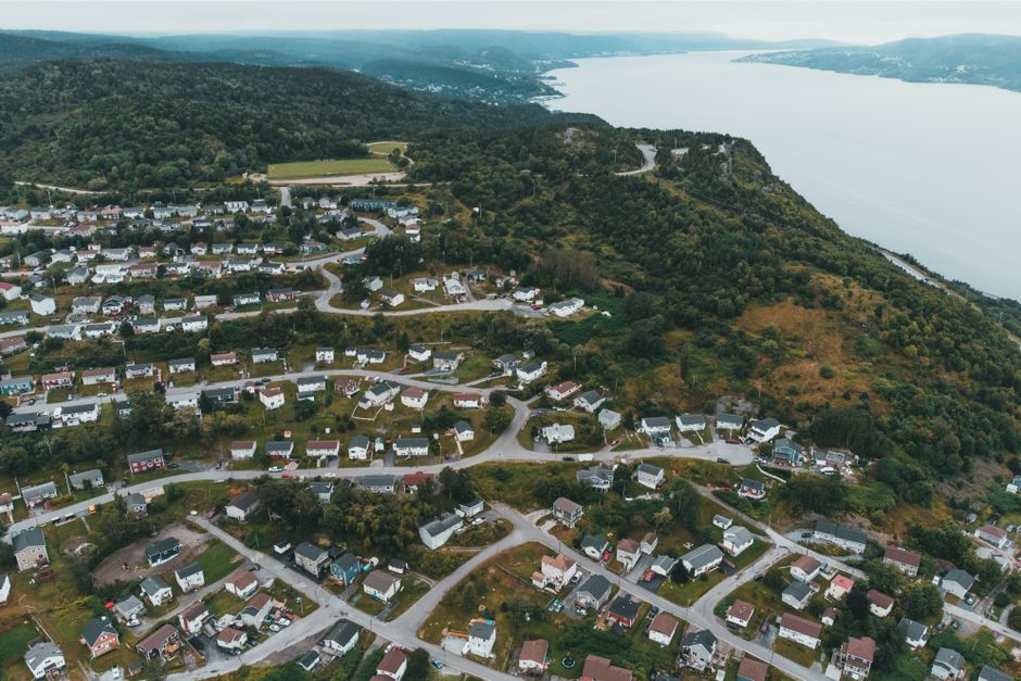 Pest Control in Tasmania 2026, Termite Inspections, Treatment Costs, and How to Find a Pest Controller Near You