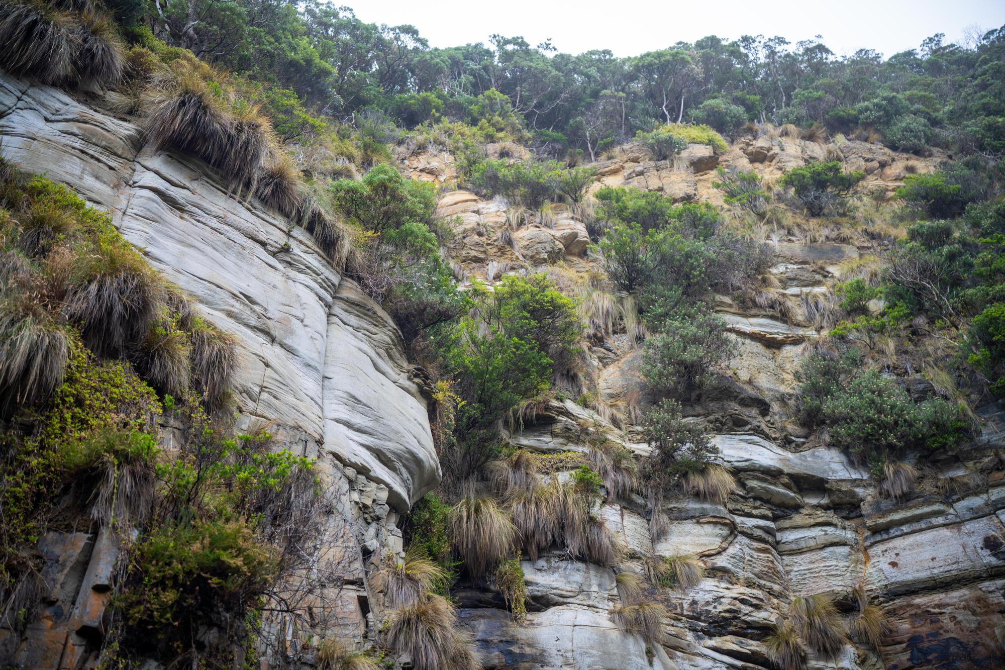 Stadium, Salmon and Power Lines: Tasmanians Speak Up on the Issues Reshaping Their Island