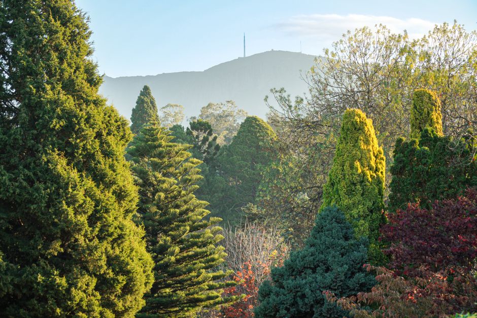 Tasmania's Government Faces Triple Crisis: Stadium Costs Soar, Marinus Delays, Housing Shortage